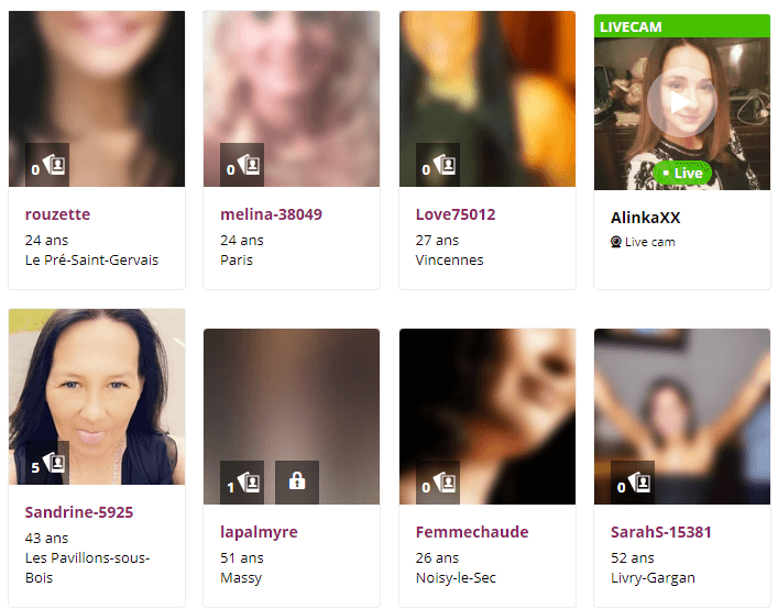 exemple page presentation profil membre erotilink